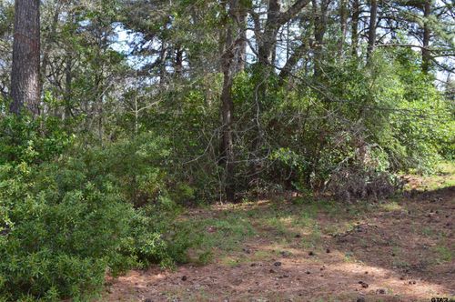 706 Duckenfield Ave, Tyler, TX, 75701 | Card Image