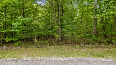 Lot 419 Tall Tree Tr | Image 1