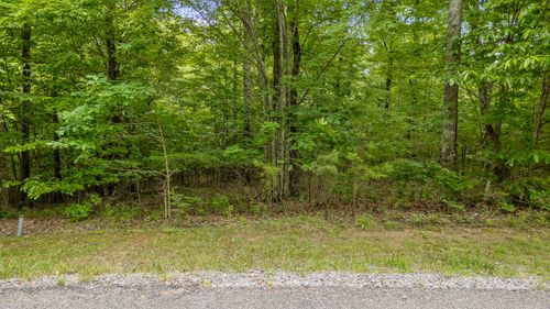 Lot 419 Tall Tree Tr, Dunlap, TN, 37327 | Card Image