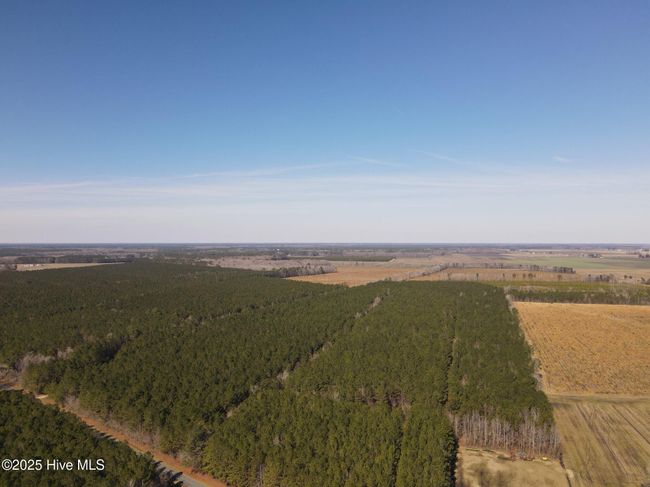 0 Free Union Church Rd, Home with 0 bedrooms, 0 bathrooms and null parking in Pinetown NC | Image 4