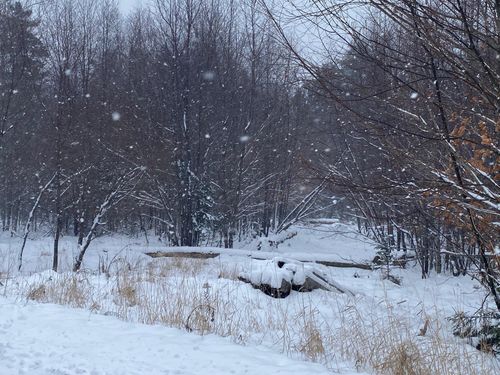 225 W Birch Lane, Beaver Cove, ME, 04441 | Card Image