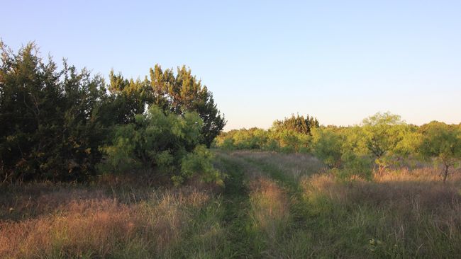 3609 Fm 1086, Home with 0 bedrooms, 0 bathrooms and null parking in Ovalo TX | Image 29