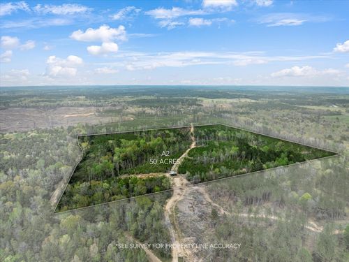 Parcel 2 Stephens Cemetary Rd, Silver Creek, MS, 39663-4557 | Card Image
