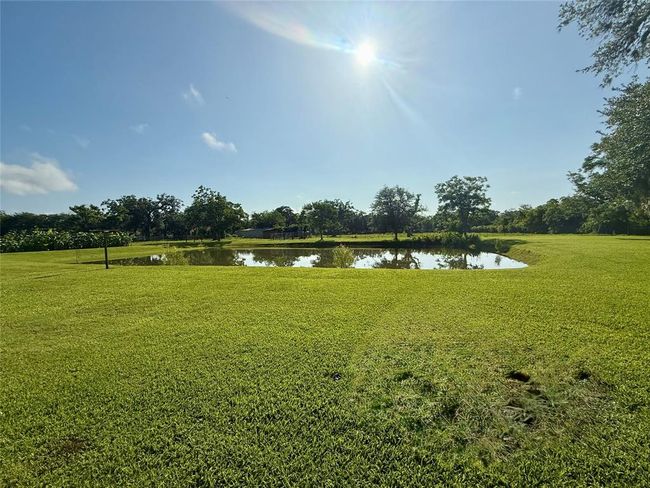 pond | Image 45