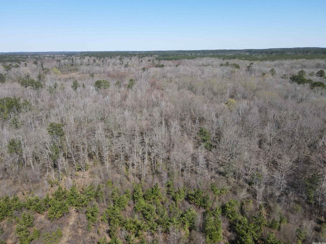 00 Highway 278 Highway, Home with 0 bedrooms, 0 bathrooms and null parking in Rosston AR | Image 17