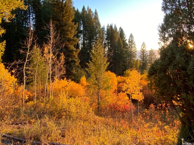 View of nature | Image 64