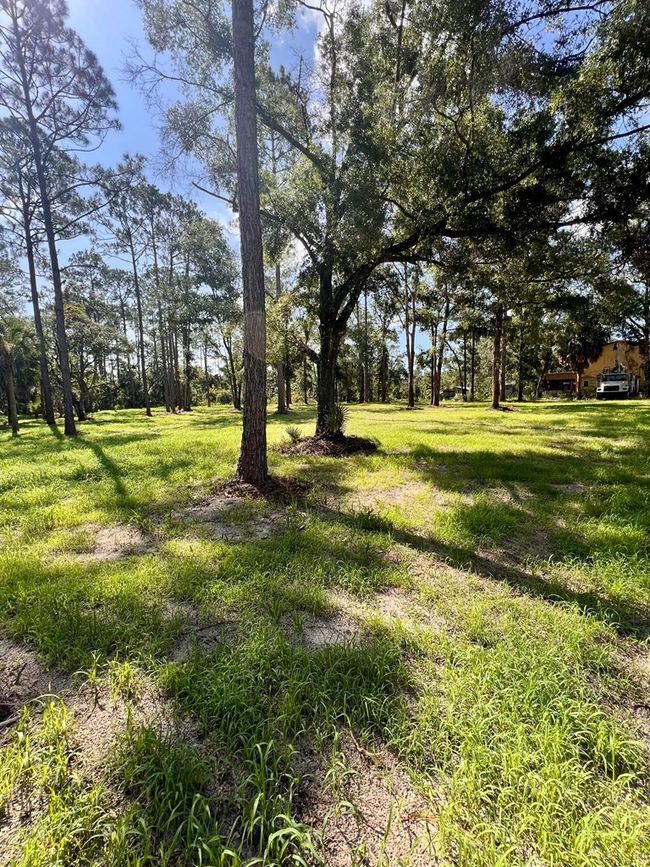 0 Ne Webb Ln, Home with 0 bedrooms, 0 bathrooms and null parking in Steinhatchee FL | Image 4