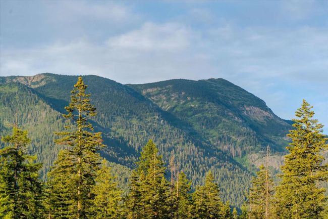 1210 Grand Fir Rd, House other with 3 bedrooms, 1 bathrooms and null parking in Bigfork MT | Image 44