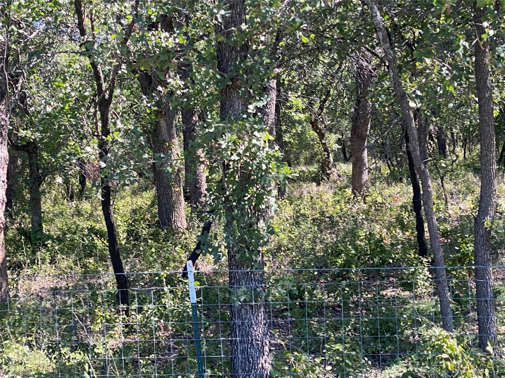 2144 County Road 527, For Sale in Baird Zoocasa