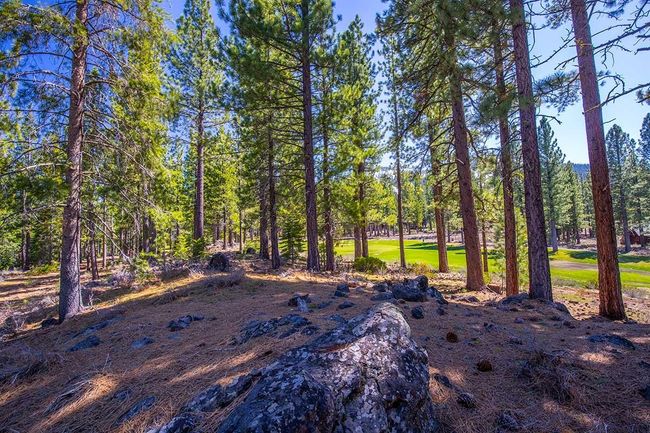 524 Lars Haugen, Home with 0 bedrooms, 0 bathrooms and null parking in Truckee CA | Image 9
