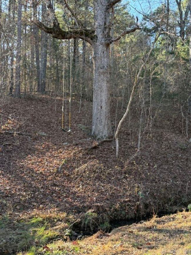 552 Little Creek Ln, House other with 1 bedrooms, 1 bathrooms and null parking in Pineville AR | Image 9