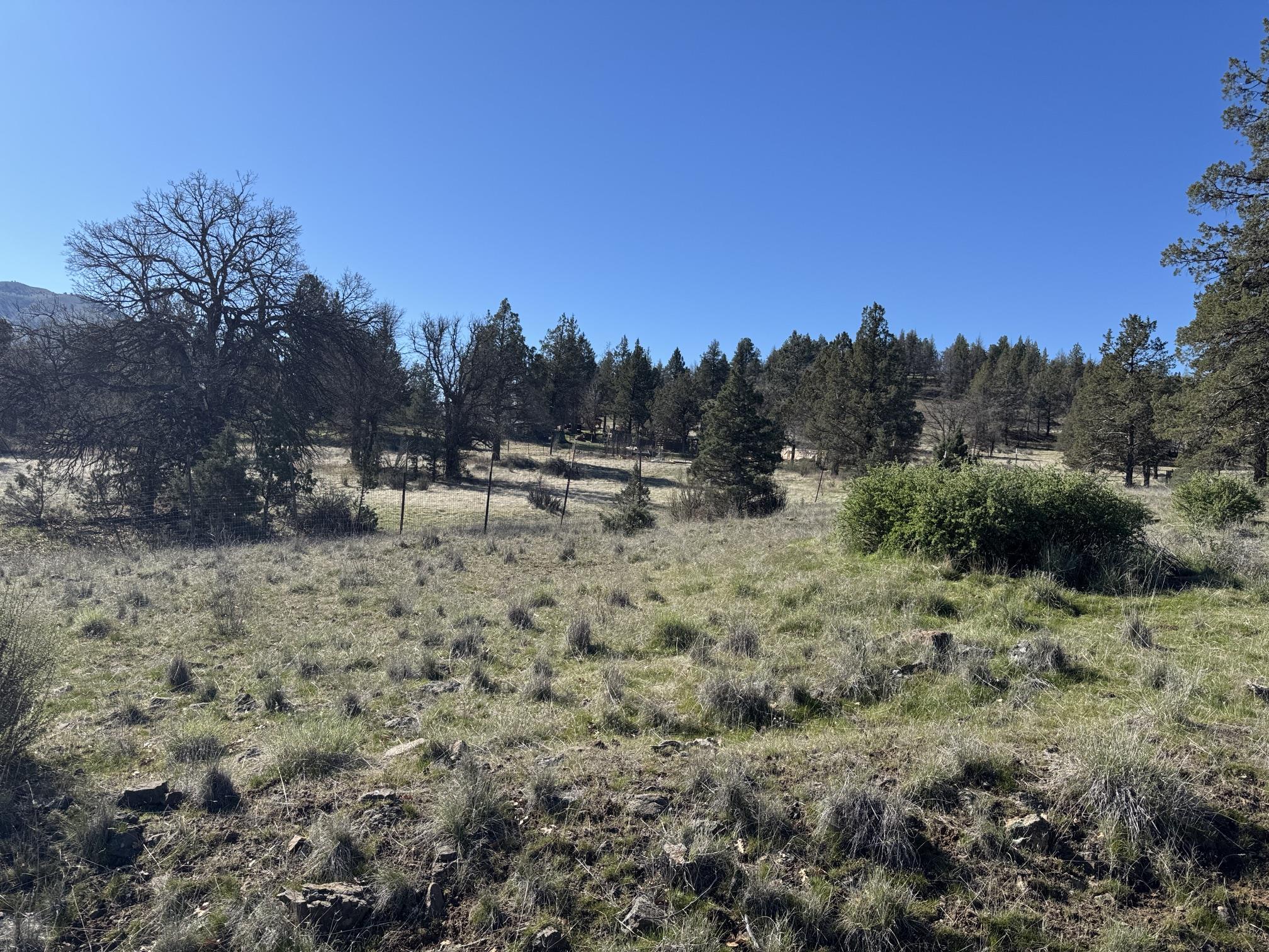 Land in Montague 4