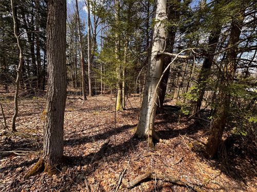 4 Lake & Danner Road, Union City, PA, 16438 | Card Image
