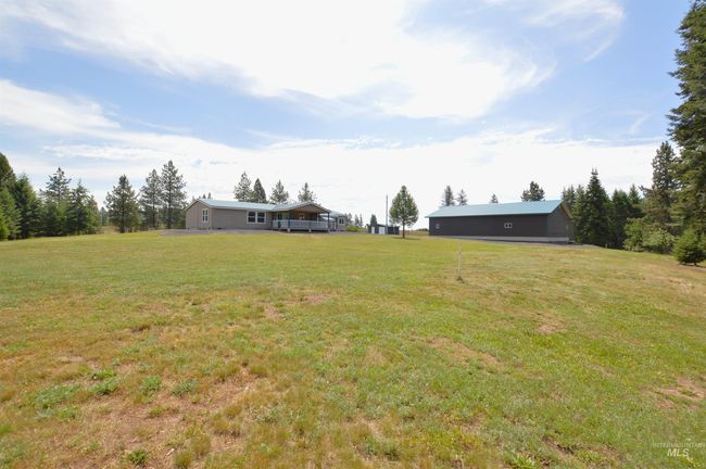 View of grassy yard | Image 42