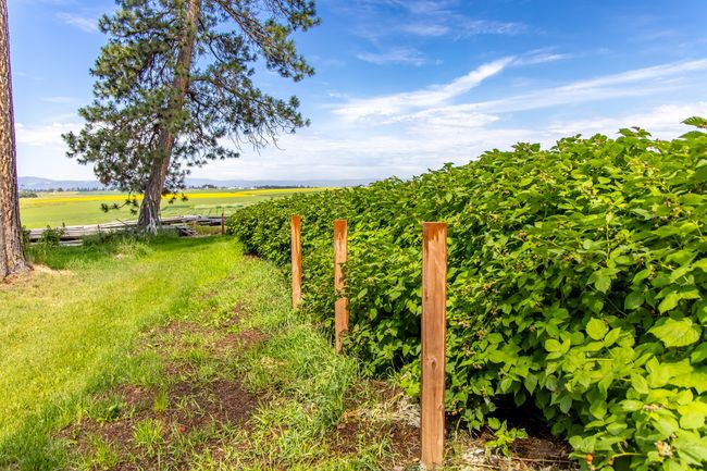 100 Riverside Rd, House other with 4 bedrooms, 3 bathrooms and null parking in Kalispell MT | Image 75