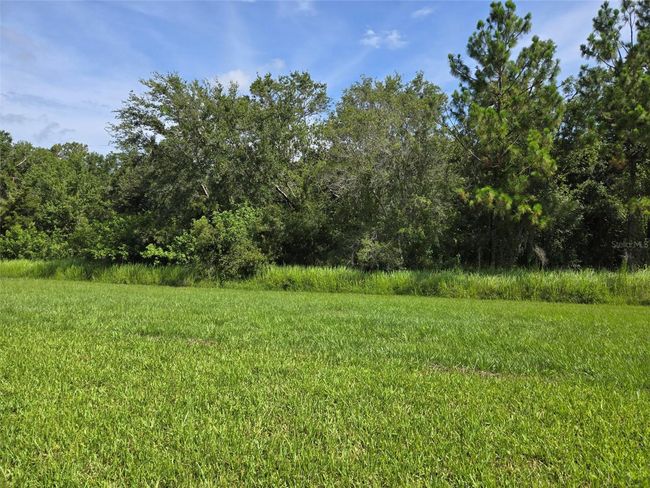 14437 Maiden Ter, House other with 4 bedrooms, 3 bathrooms and null parking in LAKEWOOD RANCH FL | Image 4
