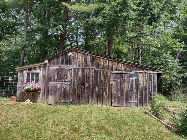 Barn/on left side for chichens right side a horse. | Image 29