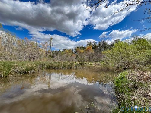 116.32 Acres Gilliam Mill Road, DILLWYN, VA, 23936 | Card Image