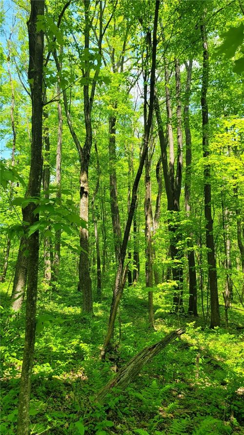 180 Hawkins Hollow Rd, Springfield Twp, PA, 15425 | Card Image