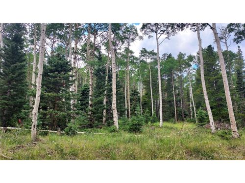 3079 Henderson Dr, Fort Garland, CO, 81133 | Card Image