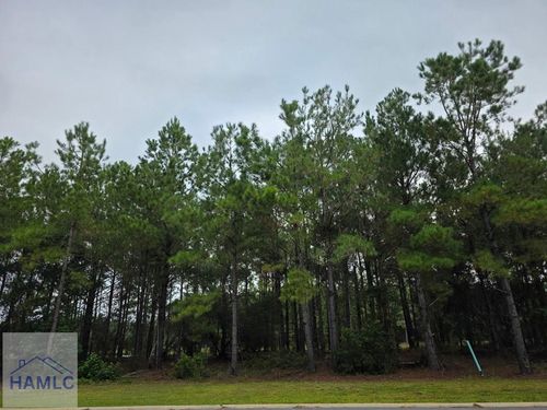 301 Bridge Woods Road, Waverly, GA, 31565 | Card Image