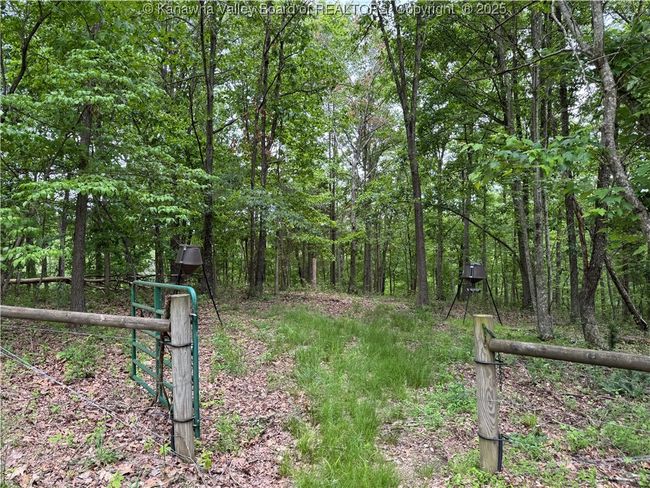 3177 Mount Union Rd, Home with 0 bedrooms, 0 bathrooms and null parking in Fraziers Bottom WV | Image 16