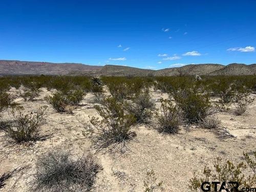 31466 Ringtail Pid, Terlingua, TX, 79852 | Card Image