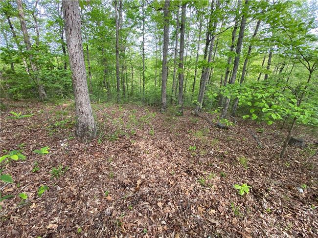 300 Nc 3150, House other with 2 bedrooms, 2 bathrooms and null parking in Jasper AR | Image 19