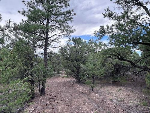 Lot 61 Upper Pinabette Rd, Questa, NM, 87556 | Card Image