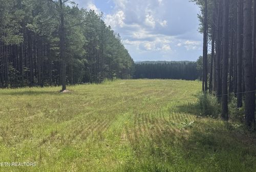 145 Black Bear Ln, Sunbright, TN, 37872-2327 | Card Image