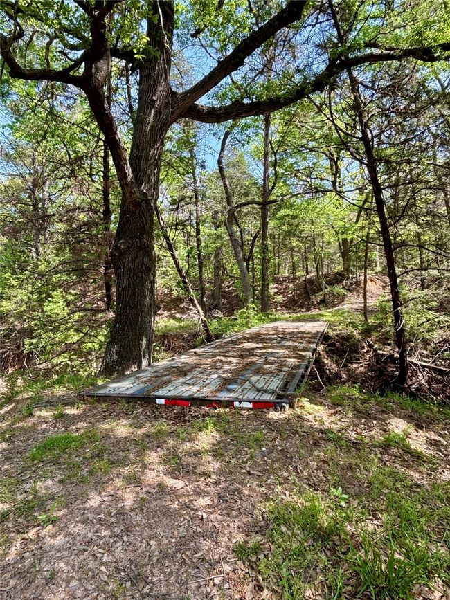 View of yard | Image 13