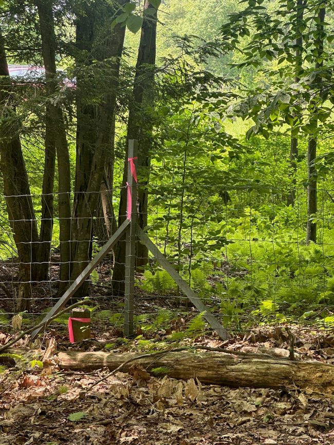 LOT-2 - 123 Rte 5, Home with 0 bedrooms, 0 bathrooms and null parking in Westminster VT | Image 8