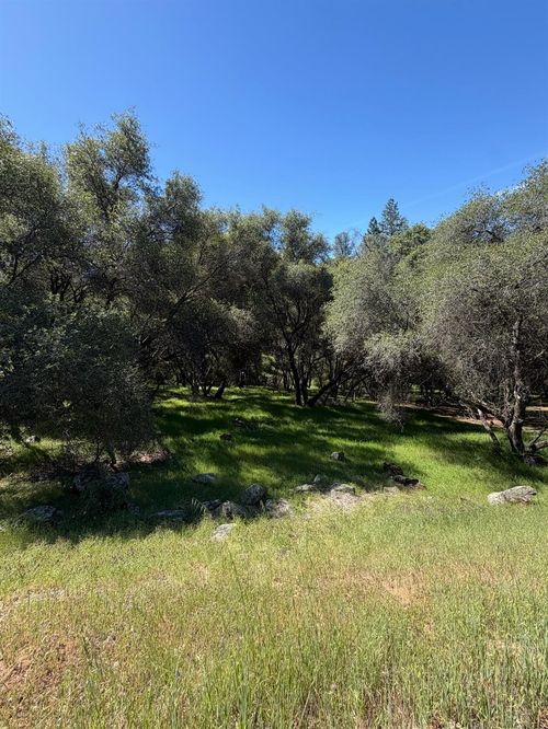 11500 Buckeye Cir, Penn Valley, CA, 95946-9439 | Card Image