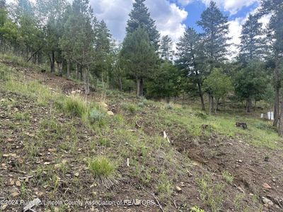 113 & 115 Oak Grove Place, Home with 0 bedrooms, 0 bathrooms and null parking in Ruidoso NM | Image 3