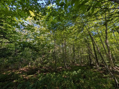 00 Highland Dr, Montgomery Center, VT, 05471 | Card Image