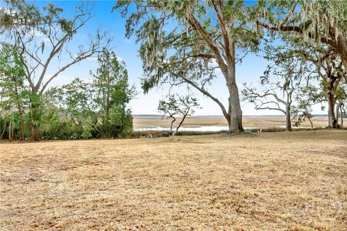 lot-39-0 Ne Coopers Point Drive Ne, Townsend, GA, 31331 | Card Image