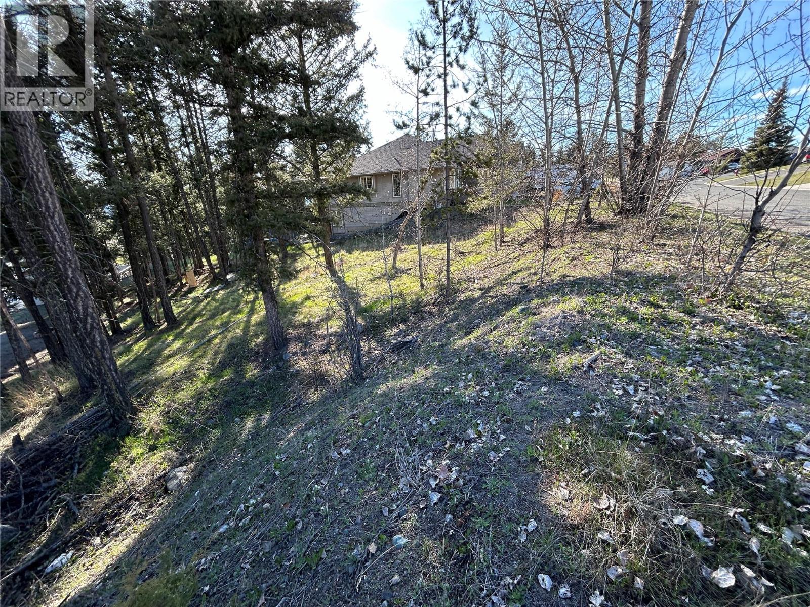 Land in Logan Lake 4