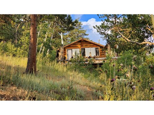 7026 Storm Mountain Dr, Drake, CO, 80515 | Card Image