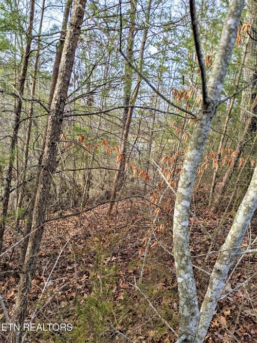 6220-6224 Outlook Tr, Russellville, TN, 37860 | Card Image