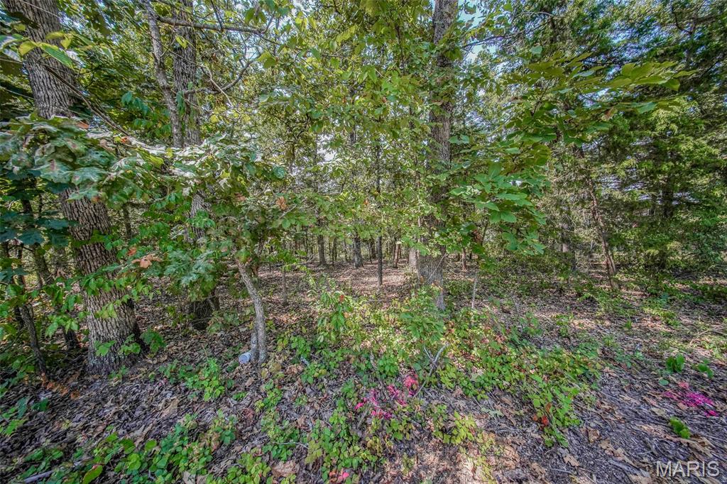 Land in Rolla 5