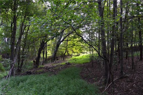 tract-e-108-2 Hanging Rock Forest Rd, Danbury, NC, 27016 | Card Image