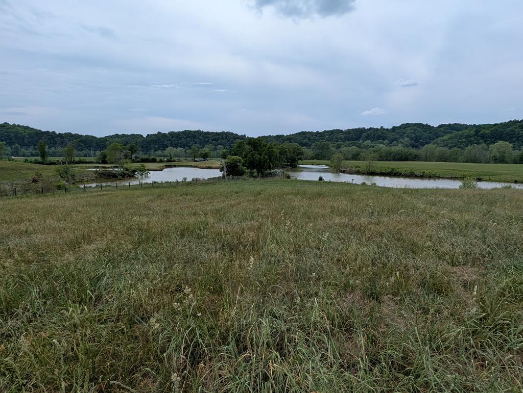 Land in Burkesville