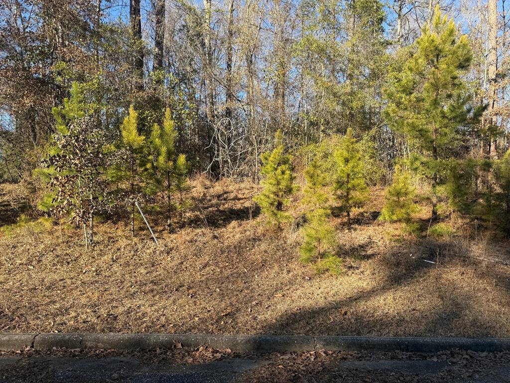 Land in Ozark