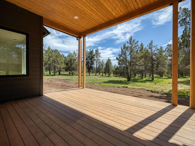 1168 Paper Birch-09 | Image 9