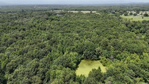 TBD Polk Road 283, Hatfield, AR, 71945 | Card Image