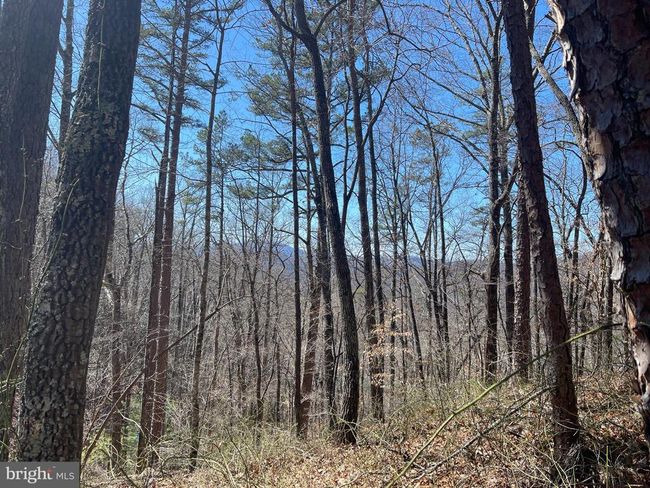 0 Bear Cove Rd, Home with 0 bedrooms, 0 bathrooms and null parking in Bryson City NC | Image 5