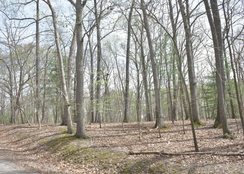 422 Winton Ct, Sugar Grove, OH, 43155 | Card Image