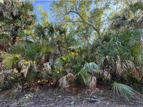 Lot 20 Blue Dolphin Drive, Crawfordville, FL, 32327 | Card Image
