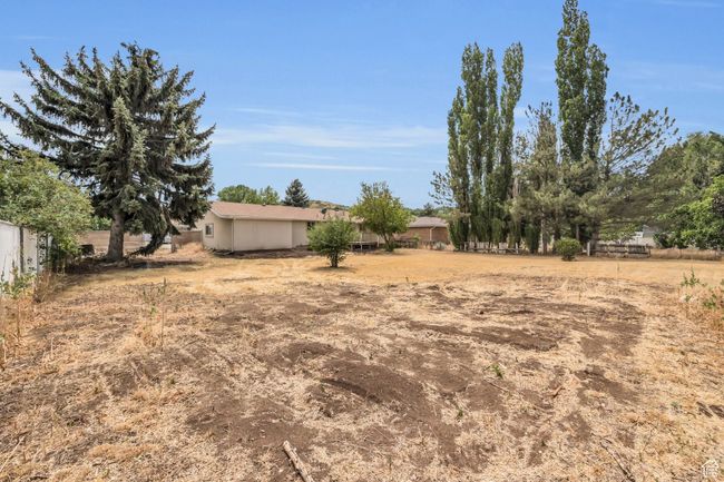 View of yard | Image 33