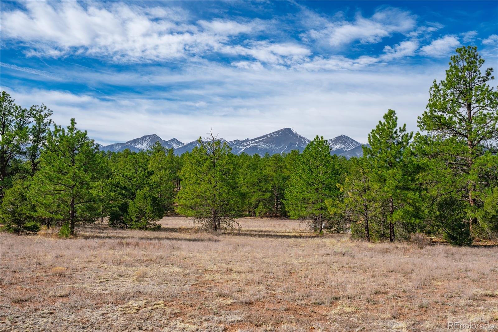 Land in Westcliffe 5